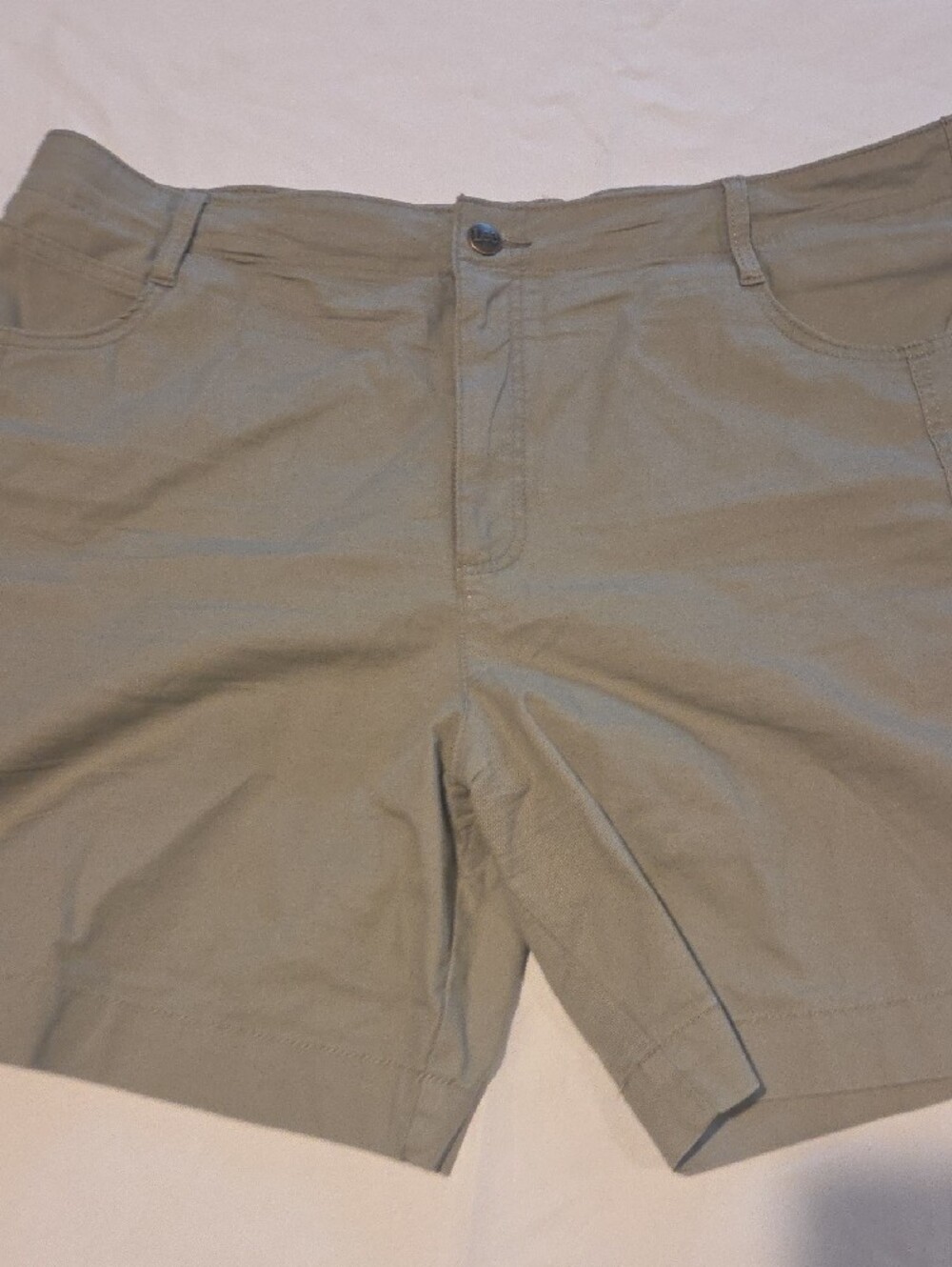 Lee Men's Flat Front Shorts in Light Khaki - Picture 4 of 7